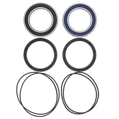 All Balls Navlager bak-Can-Am DS 450