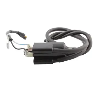 Coil - Ski-Doo OEM:410916900, 410920100, 410920500