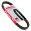 ATV Pro-Series Variatorreim