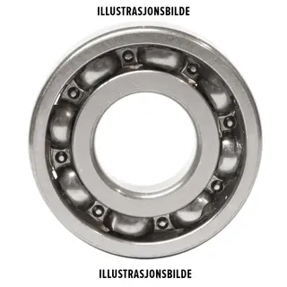 B&#230;relager 25x55x15 DG2555-9C3