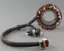 Sledtech Stator - BRP