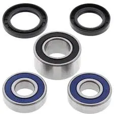 All Balls Hjullagersett bak-Honda CBR 