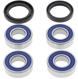 All Balls Hjullagersett bak-BMW G650X 