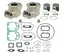 Sylindersett Komplett - BRP OEM: 420613944, 421000624
