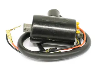 Coil - Polaris OEM: 3082974