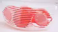 Baklyktglass, Klar - Ski-Doo OEM: 511000315, 515175995